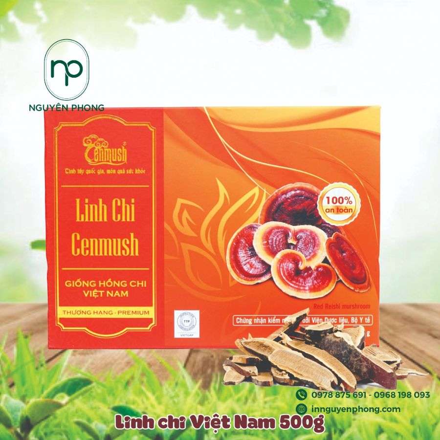 In Hộp Linh Chi Theo Yêu Cầu - Chuyên Nghiệp, Cao Cấp